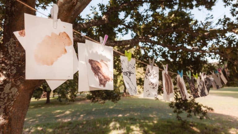 The Blueprint Project ran a workshop in Appley Park, making ancient ink from wasp galls. This is a photo of some of the pieces created with the ink, hanging in a tree to dry.